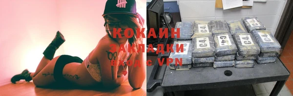 стаф Новозыбков