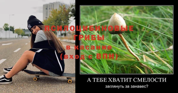 стаф Новозыбков