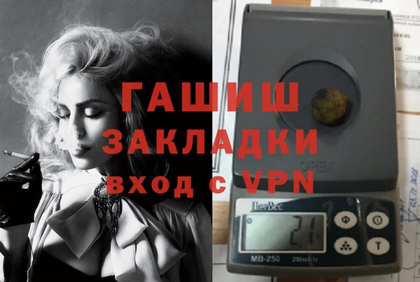 стаф Новозыбков