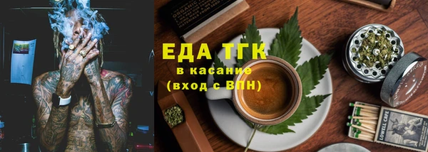 стаф Новозыбков